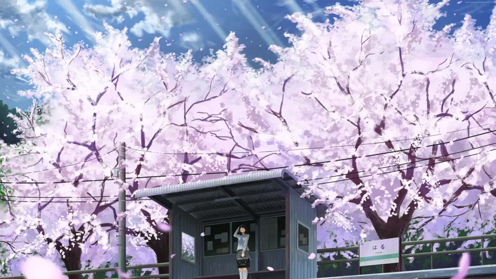 Keindahan alam dalam anime Pemandangan anime dengan bunga sakura yang indah