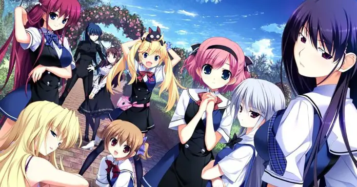 Rekomendasi Anime Harem Ecchi Terbaik Gambar kolase berbagai anime harem ecchi populer