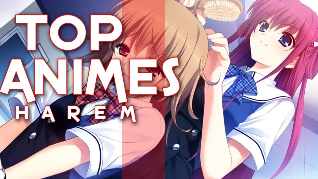 Pecinta Shinmai Maou no Testament? 10 Anime Ini Cocok Untukmu!