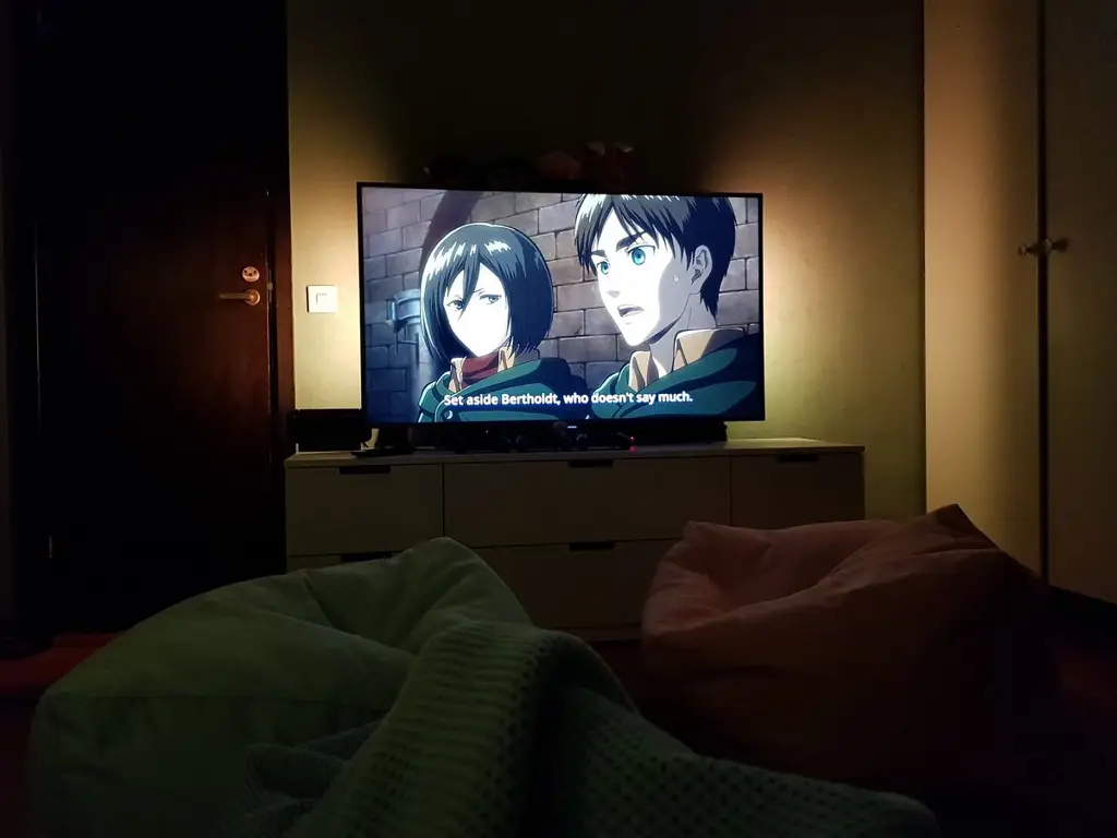 Tips Menikmati Anime di Musim Panas Gambar seseorang menonton anime di rumah